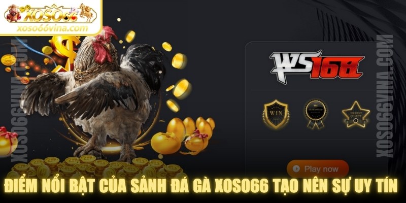 Điểm nổi bật của sảnh Đá gà XOSO66 tạo nên sự uy tín cho sảnh cược