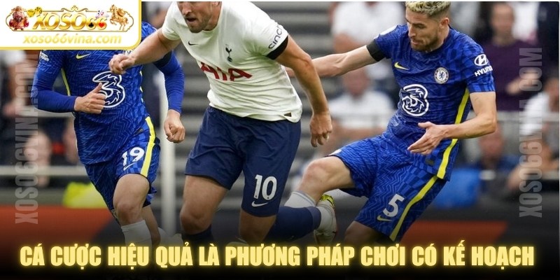 Cá cược hiệu quả là phương pháp chơi có kế hoạch rõ ràng và tối ưu lợi nhuận