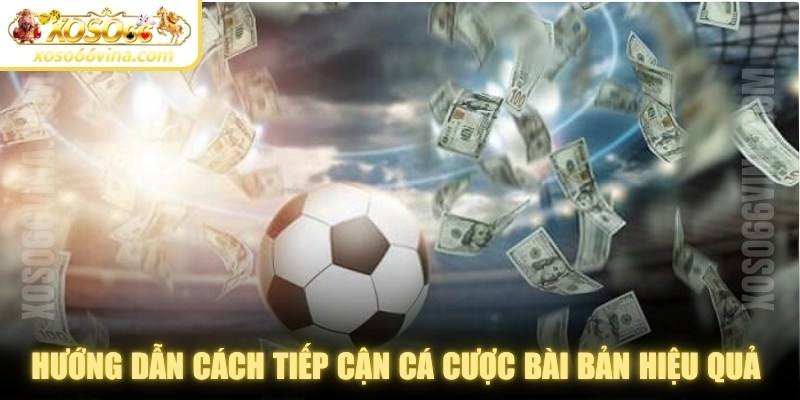 Hướng dẫn cách tiếp cận cá cược bài bản hiệu quả từ chuyên gia