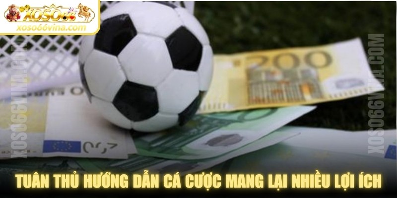 Tuân thủ hướng dẫn cá cược dễ hiểu nhất mang lại nhiều lợi ích