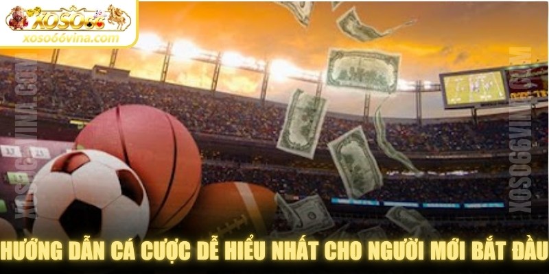Hướng dẫn cá cược dễ hiểu nhất cho người mới bắt đầu tham gia