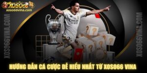 Hướng Dẫn Cá Cược Dễ Hiểu Nhất