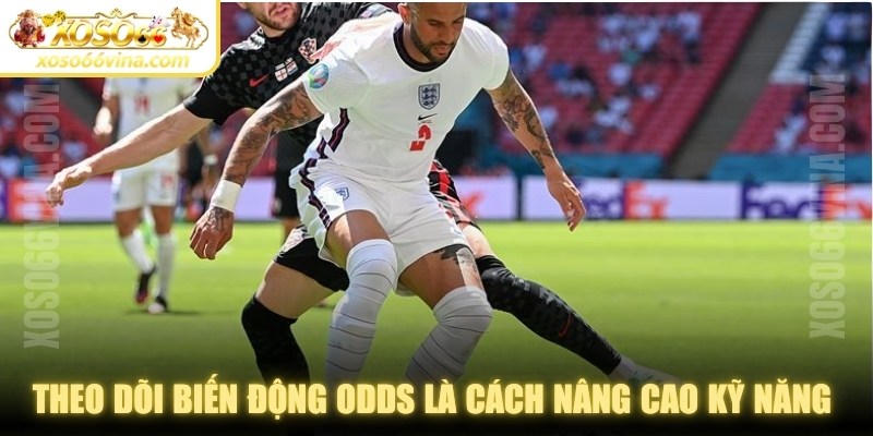 Theo dõi biến động Odds là cách hướng dẫn nâng cao kỹ năng đặt kèo hiệu quả