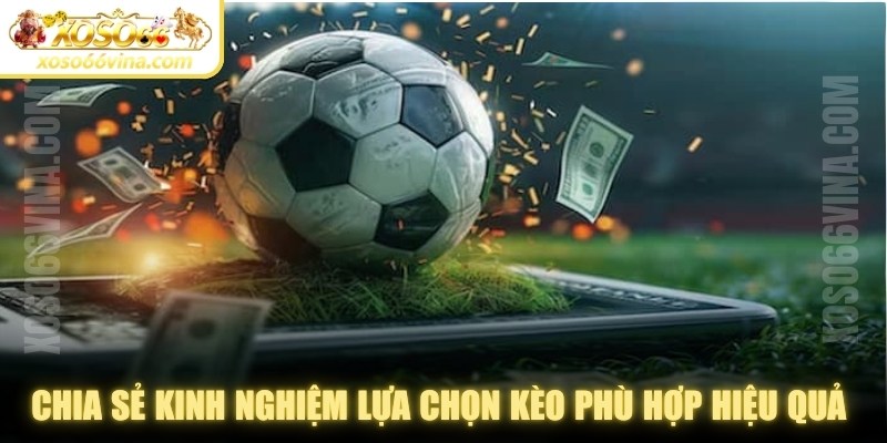 Chia sẻ kinh nghiệm lựa chọn kèo phù hợp hiệu quả từ chuyên gia