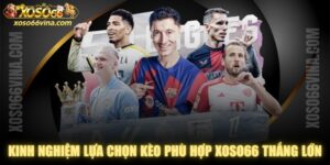 Kinh Nghiệm Lựa Chọn Kèo Phù Hợp