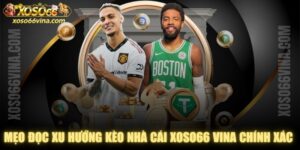 Mẹo Đọc Xu Hướng Kèo Nhà Cái